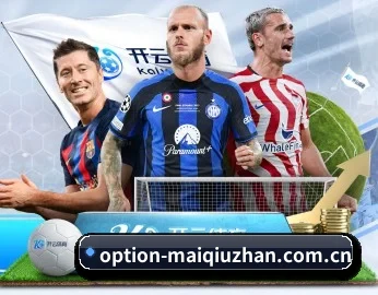 买球站的故事 - maiqiuzhan